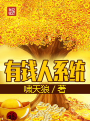  有钱人系统